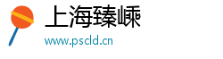 上海臻嵊